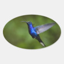 Recherche de hummingbird autocollants Faune