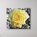 Suche nach nach dem regen leinwandbilder Gelb