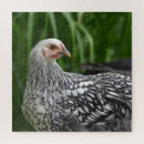 Suche nach lustiges huhn puzzle Hühner