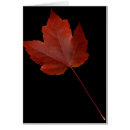 Suche nach adern postkarten Natur