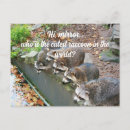 Suche nach raccoon postkarten Racon