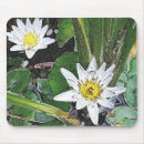 Suche nach zen mousepads Yoga