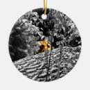 Recherche de boo boo ornements Orange
