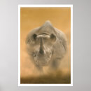 Suche nach afrikanisches tier poster Nashorn