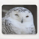 Suche nach weiße eule mousepads Natur