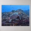 Suche nach nusa poster Indonesien