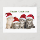 Suche nach weihnachtskatzen poster Baum