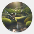 Suche nach grüner frosch aufkleber Amphibisch