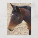 Recherche de cheval de baie posters Nature