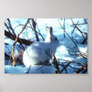 Suche nach artic poster Arktisch
