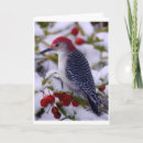 Recherche de pics vœux cartes Famille