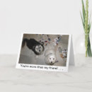Suche nach best friends karten Hund