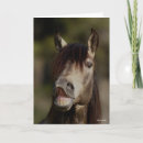 Suche nach lusitano karten Tier