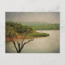 Recherche de arbre de cèdre cartes postales Arbres