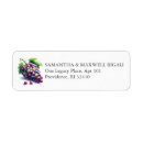 Recherche de raisin Cave