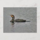 Suche nach doppeltes postkarten Foto