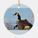 Suche nach gans ornamente Gänse