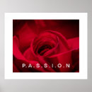 Recherche de roses rouges posters Amour