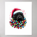 Suche nach labradoodles poster Hundefreund
