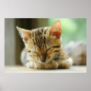 Suche nach schlafen poster Niedlich