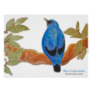 Recherche de bird posters Animal