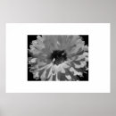 Suche nach schwarzweiss poster Mit blumen