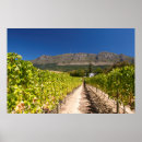 Recherche de en abondance posters Image couleur