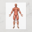 Suche nach bizeps postkarten Digital erzeugtes bild