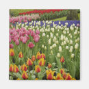 Recherche de environnement magnets Jardin