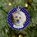 Recherche de patriotic christmas ornements Usa