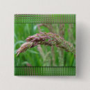 Recherche de mauvaise herbe badges Mauvaises herbes