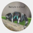 Recherche de scientifique photographie Photographie de la nature