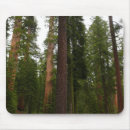 Suche nach haines mousepads Wald