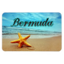 Suche nach seestern magnete Reise