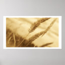 Suche nach grasland poster Natur