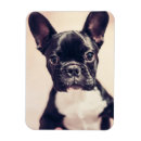 Recherche de minuscule magnets Chiot