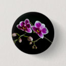 Suche nach rosa orchideen buttons Rot