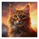 Suche nach bobtail poster Katze