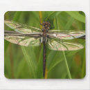 Suche nach buntglas mousepads Libelle