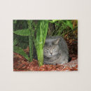 Suche nach schlafender puzzle Tiere