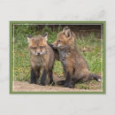 Suche nach schwester und bruder postkarten Natur