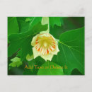 Recherche de arbre tulipe cartes postales Nature