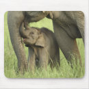 Suche nach inder mousepads Elefant