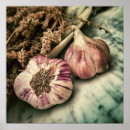 Suche nach knoblauch poster Gemüse
