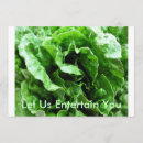 Recherche de légumes invitations Laitue