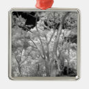 Recherche de fine art ornements Noir et blanc