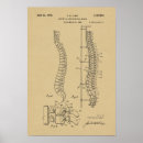 Recherche de ostéopathe posters Colonne vertébrale