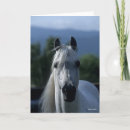 Suche nach stallion karten Headshot