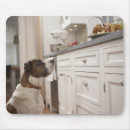 Suche nach nahrung mousepads Nahrung und getränk