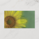 Suche nach sonnenblumen visitenkarten Fotografie